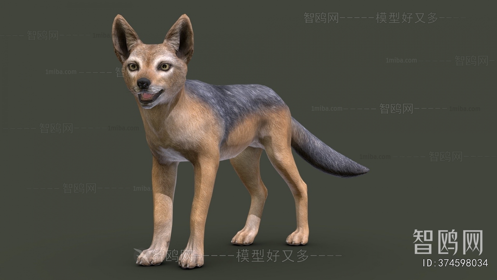 Modern Mammal