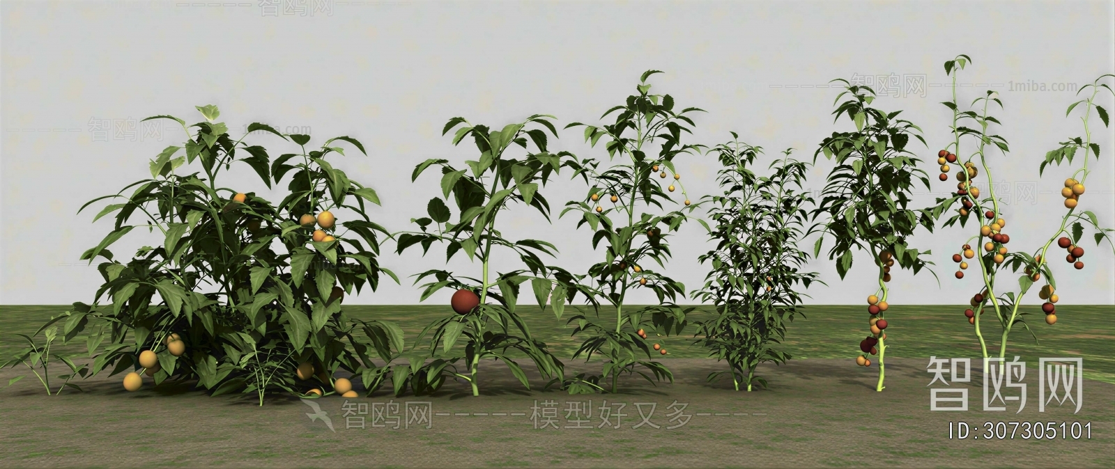 Modern Crop
