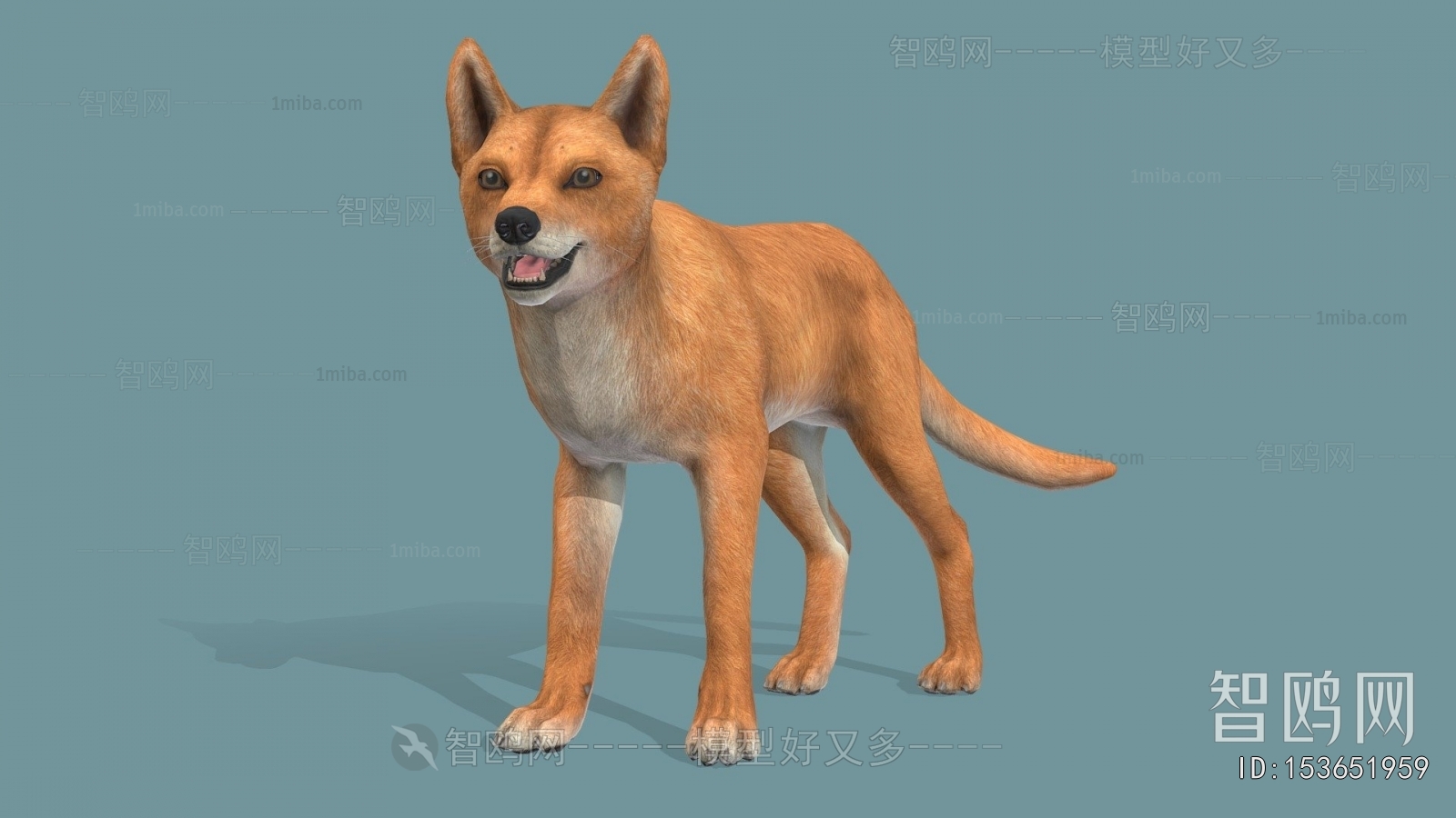 Modern Animal Dog