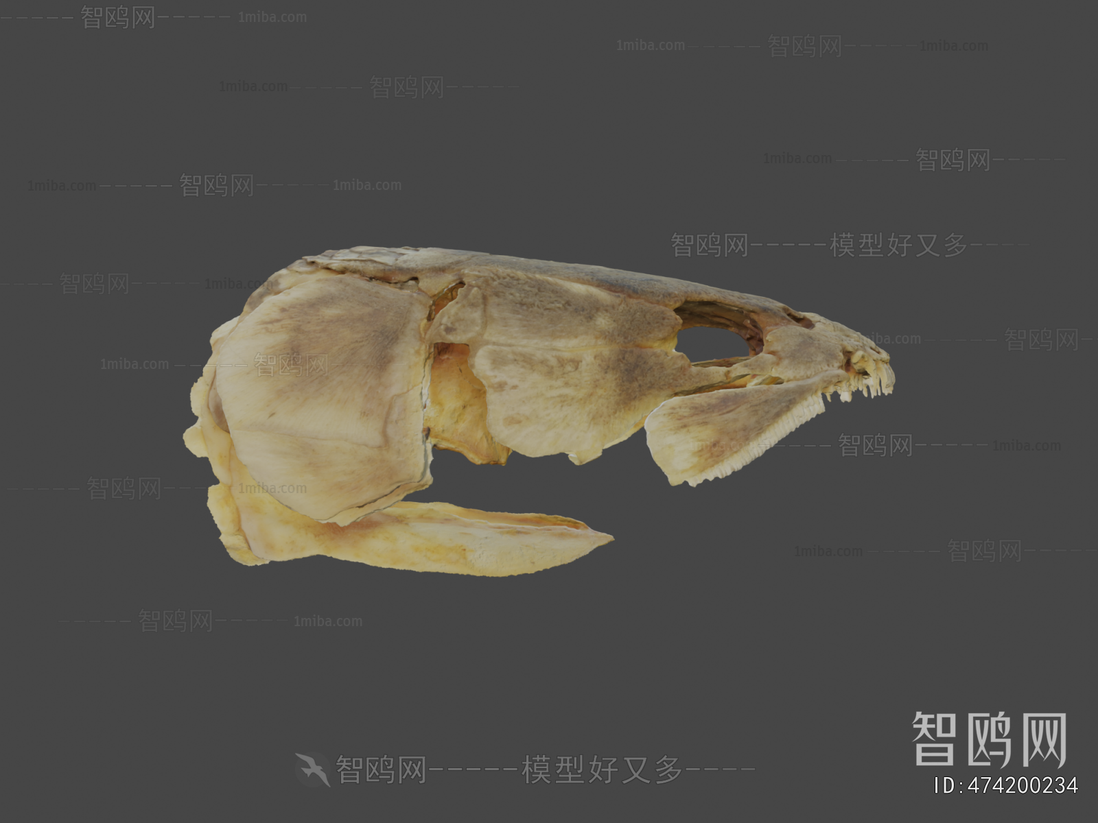 Modern Medical Equipment