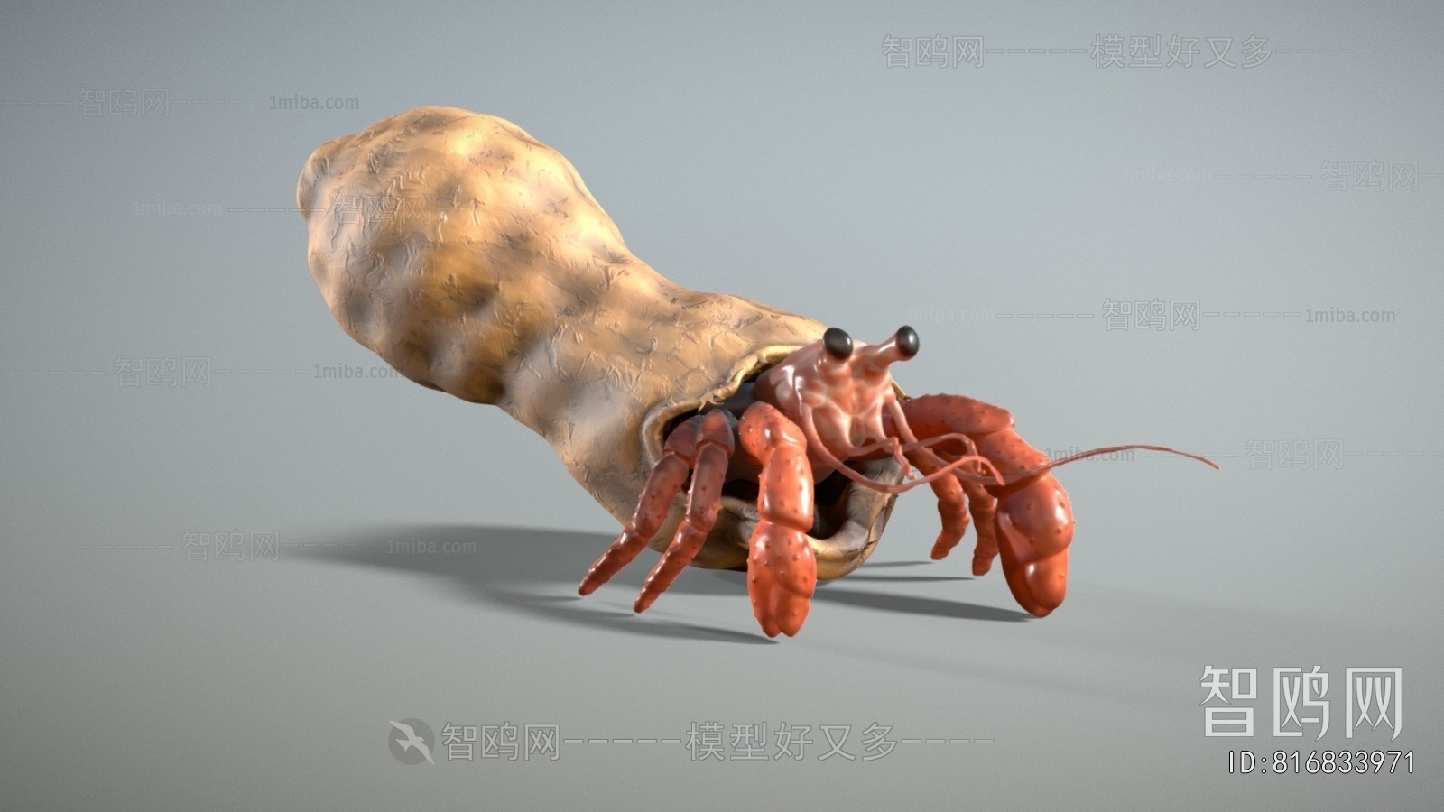 Modern Aquatic Animals