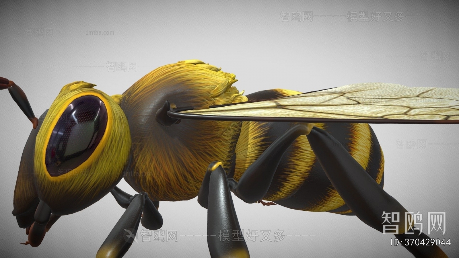 Modern Animal