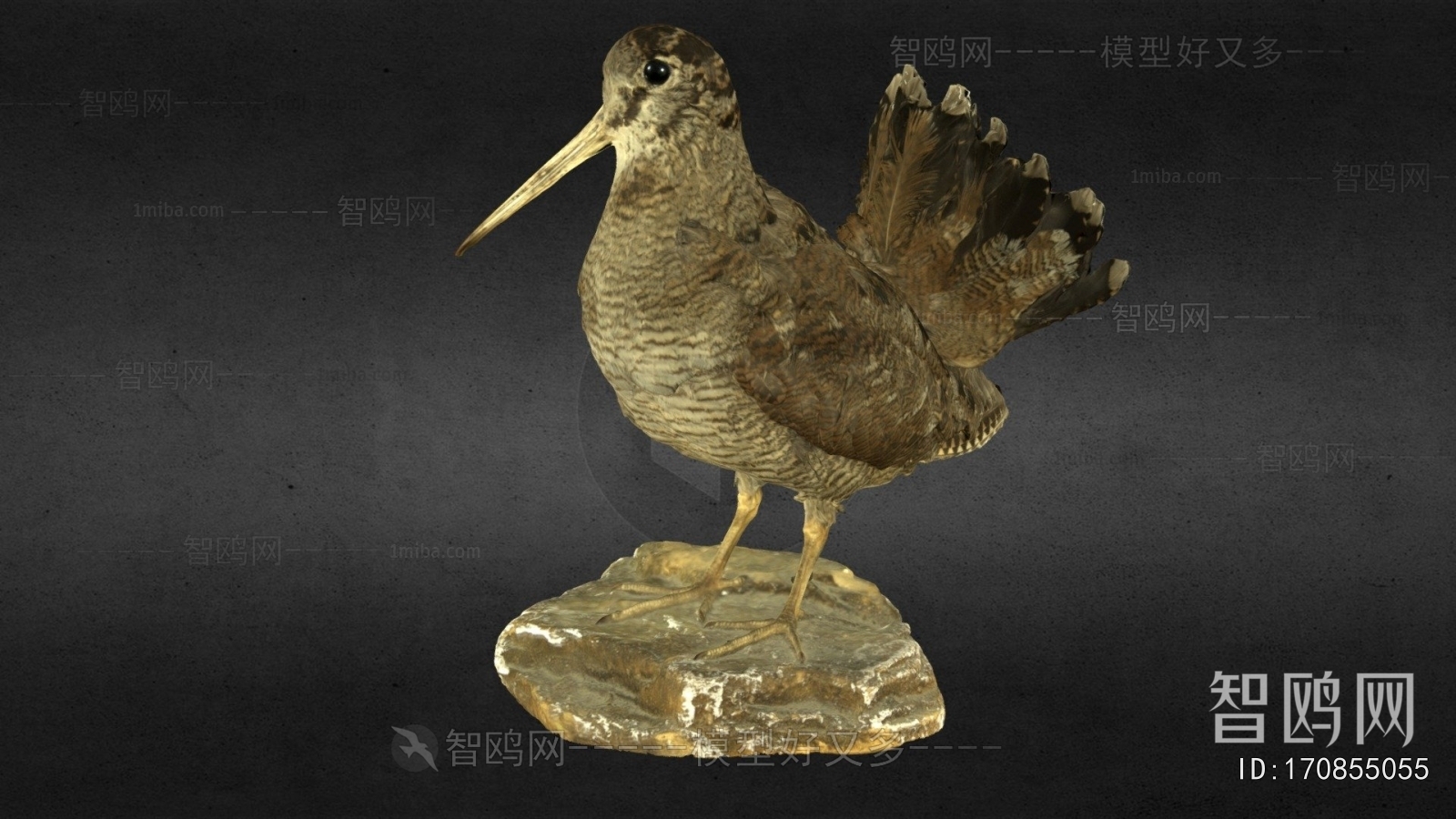 Modern Animal