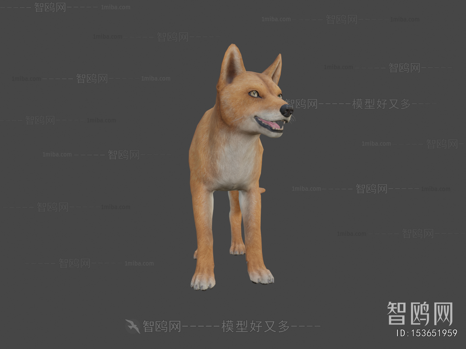 Modern Animal Dog