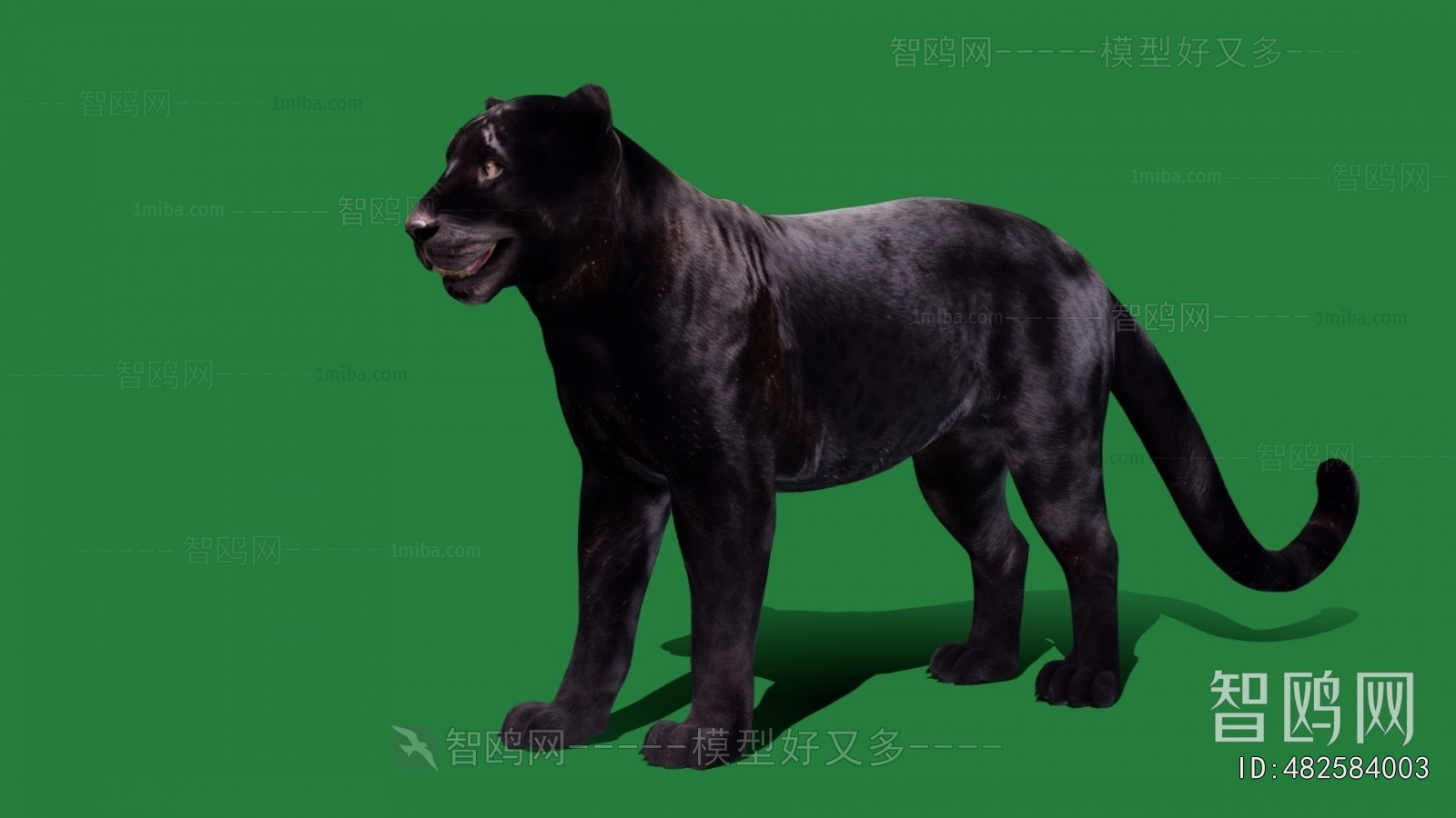 Modern Animal Dog