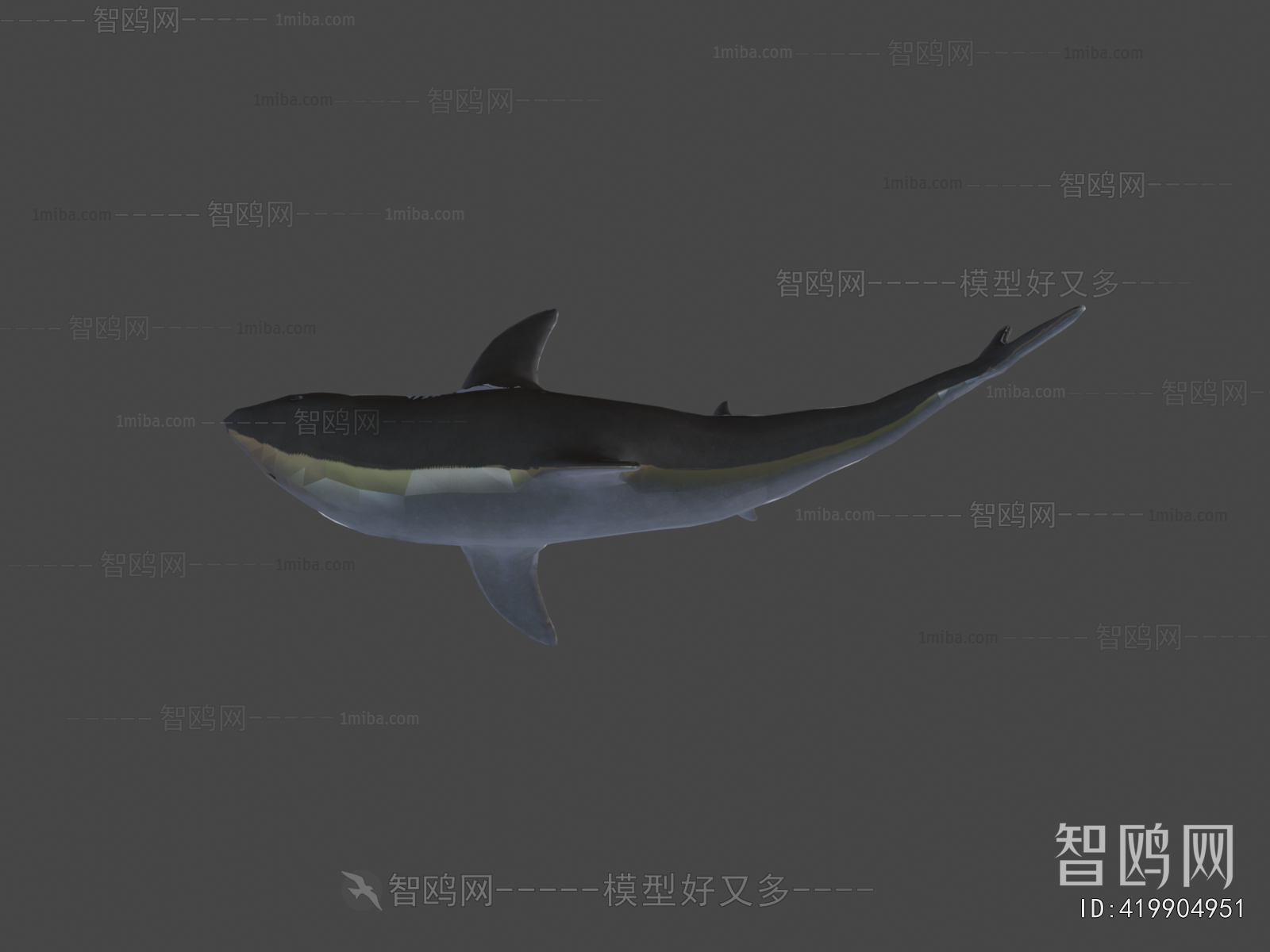 Modern Aquatic Animals