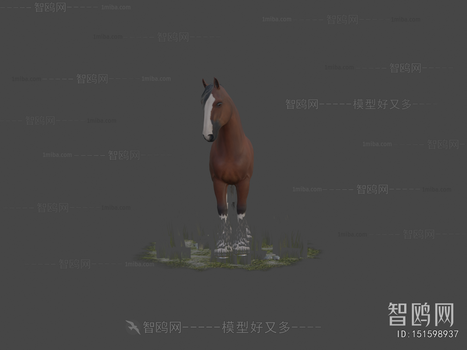 Modern Mammal