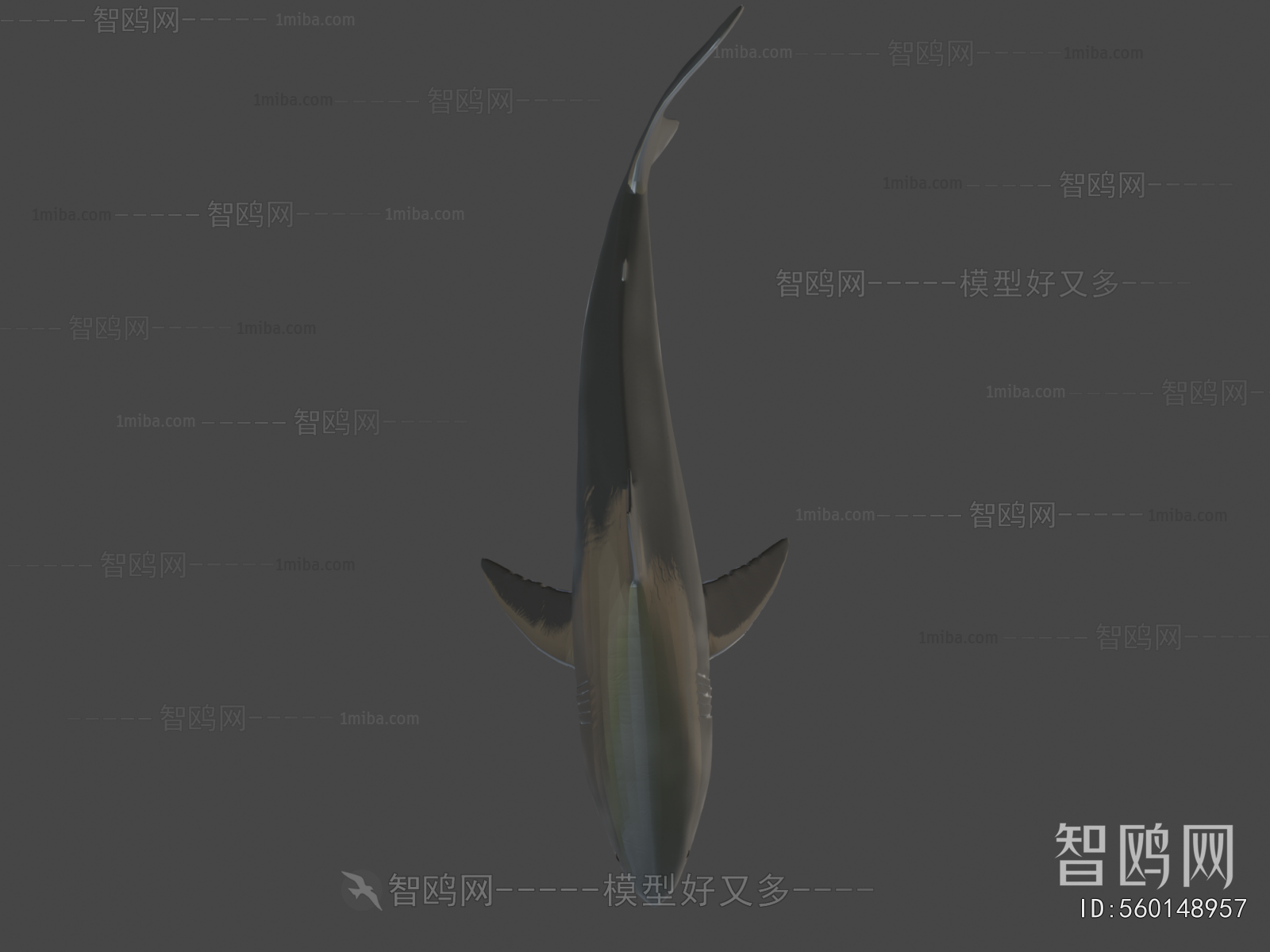 Modern Animal
