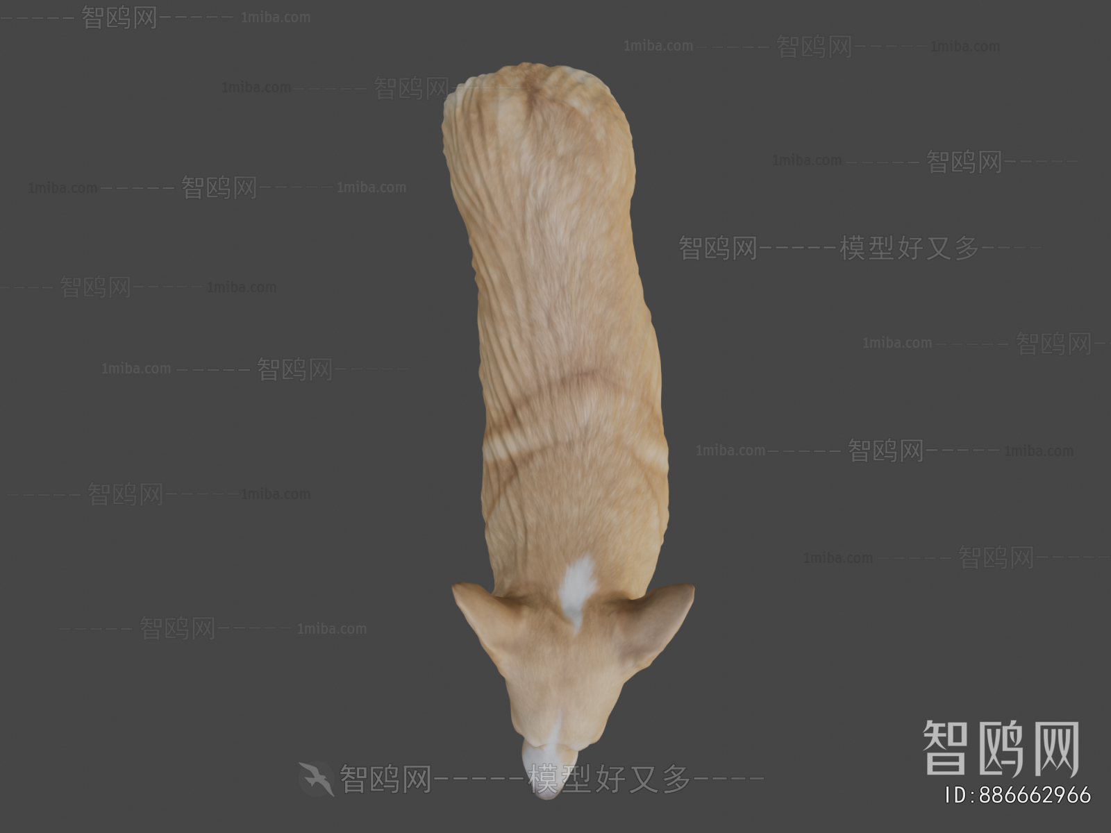 Modern Animal Dog