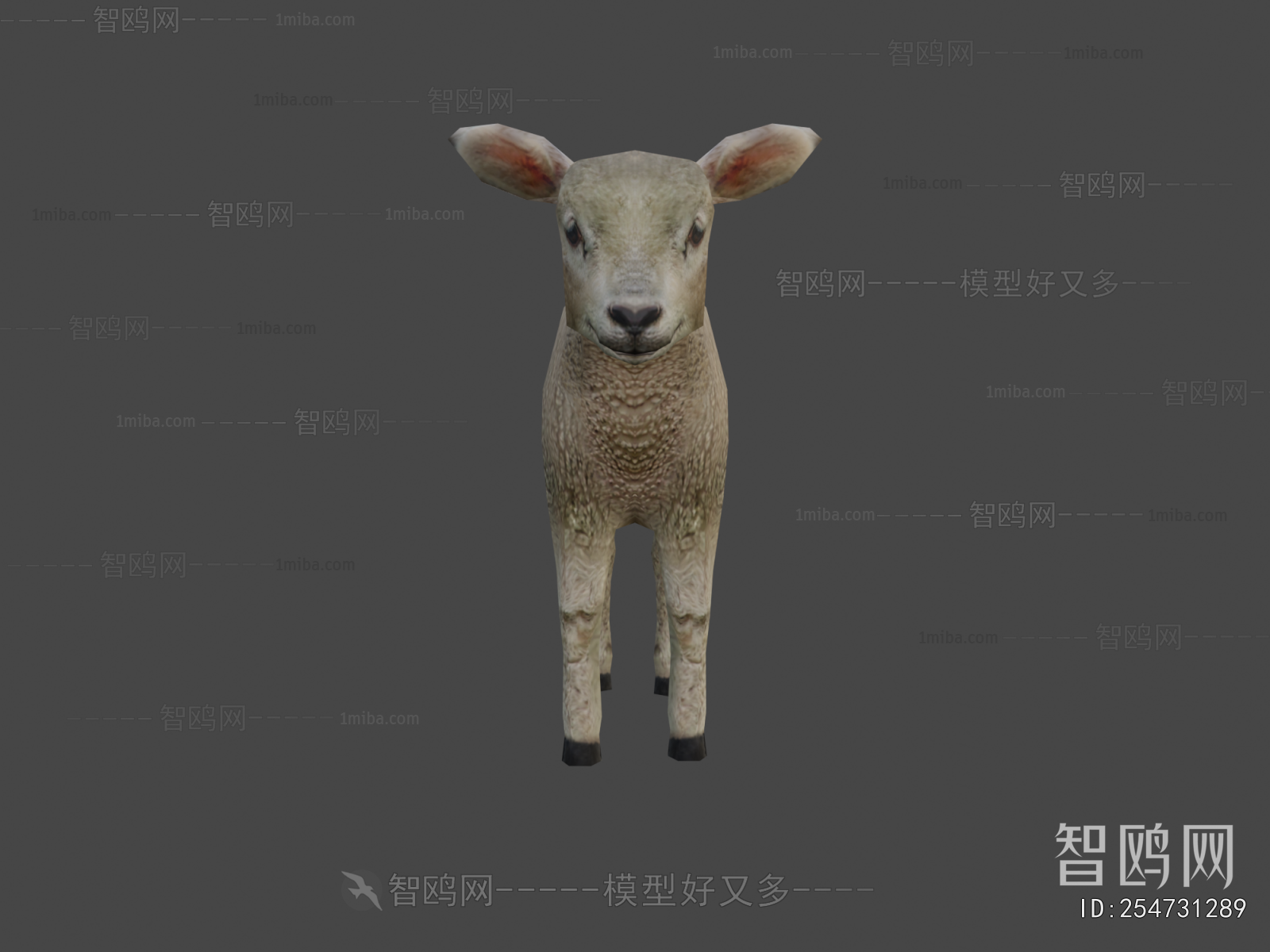 Modern Mammal