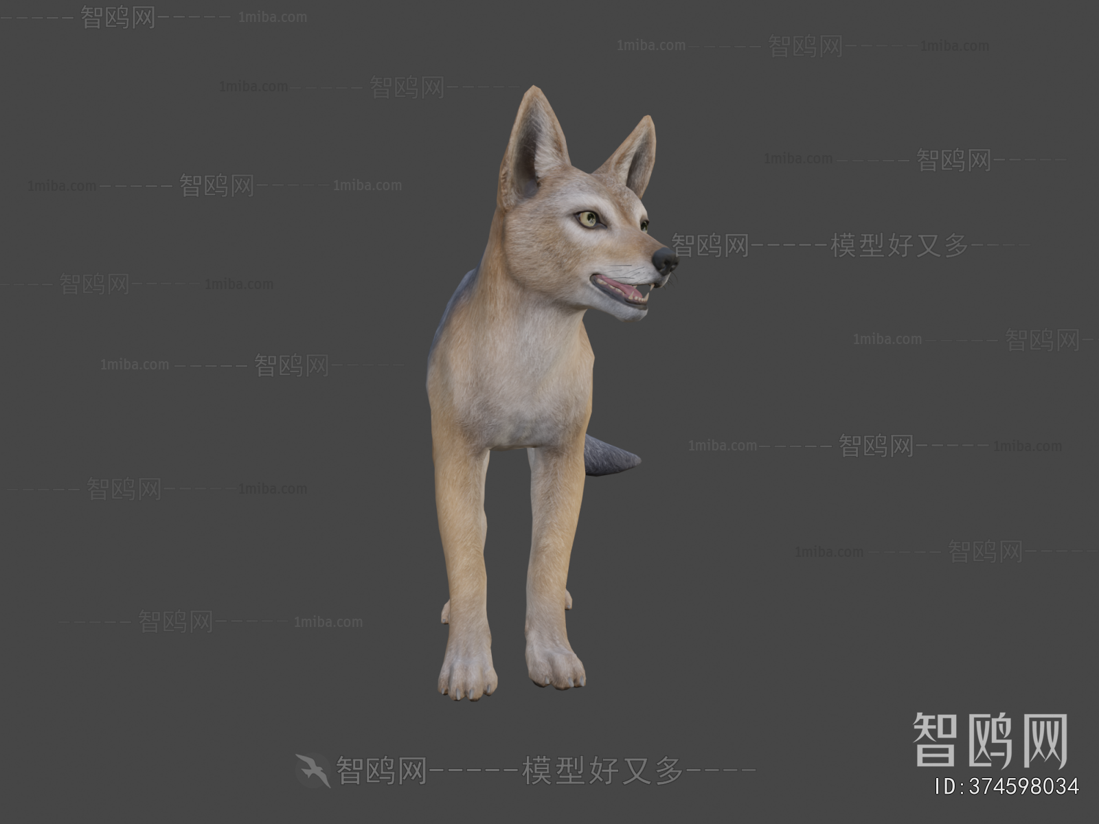 Modern Mammal