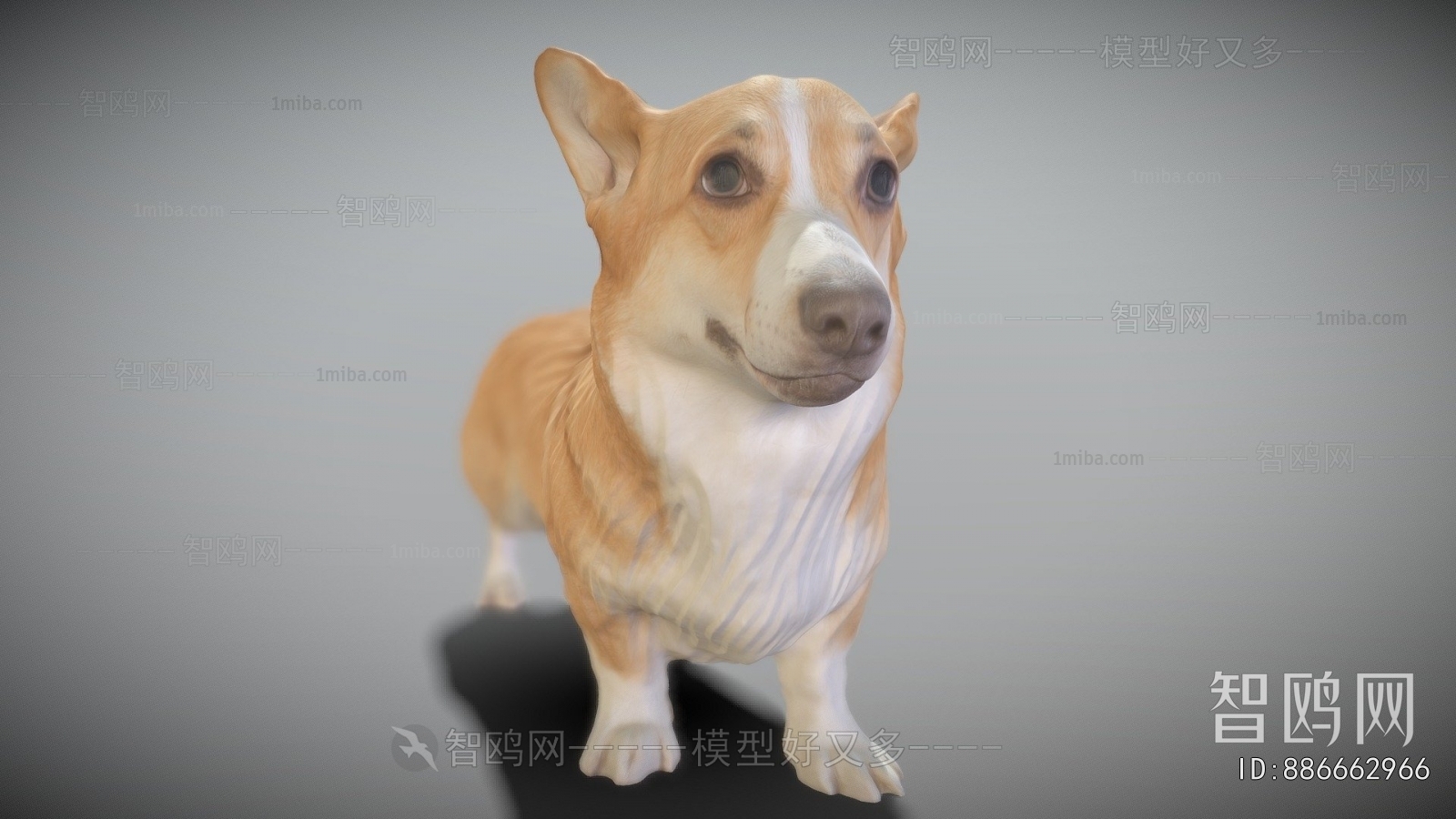 Modern Animal Dog