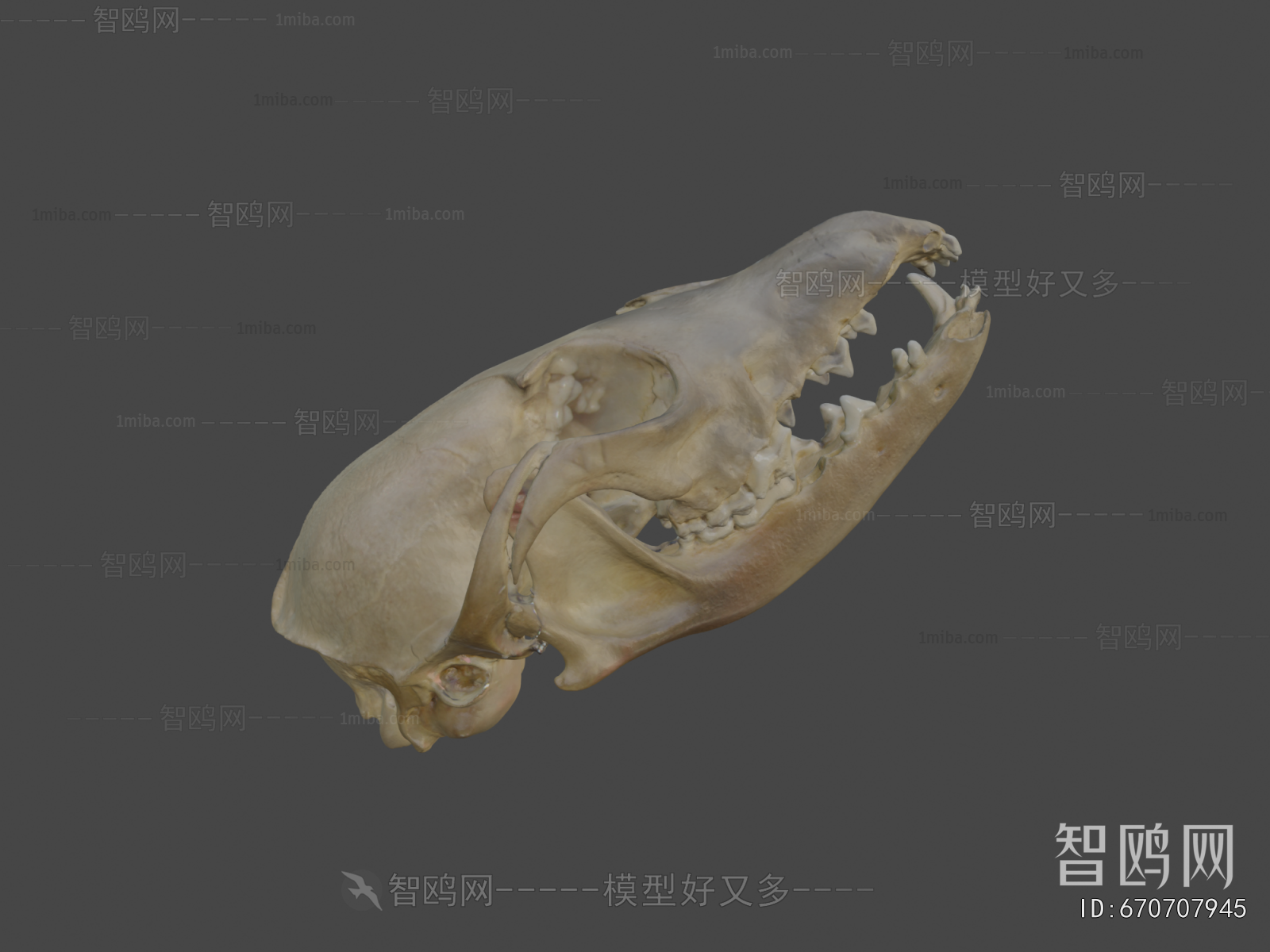 Modern Medical Equipment