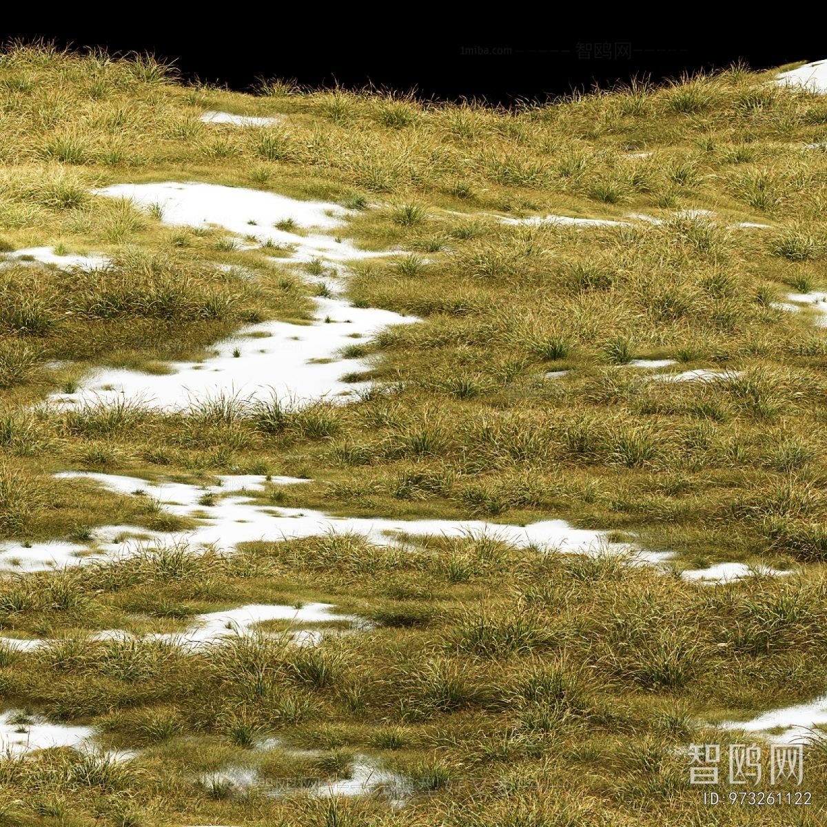 Modern The Grass