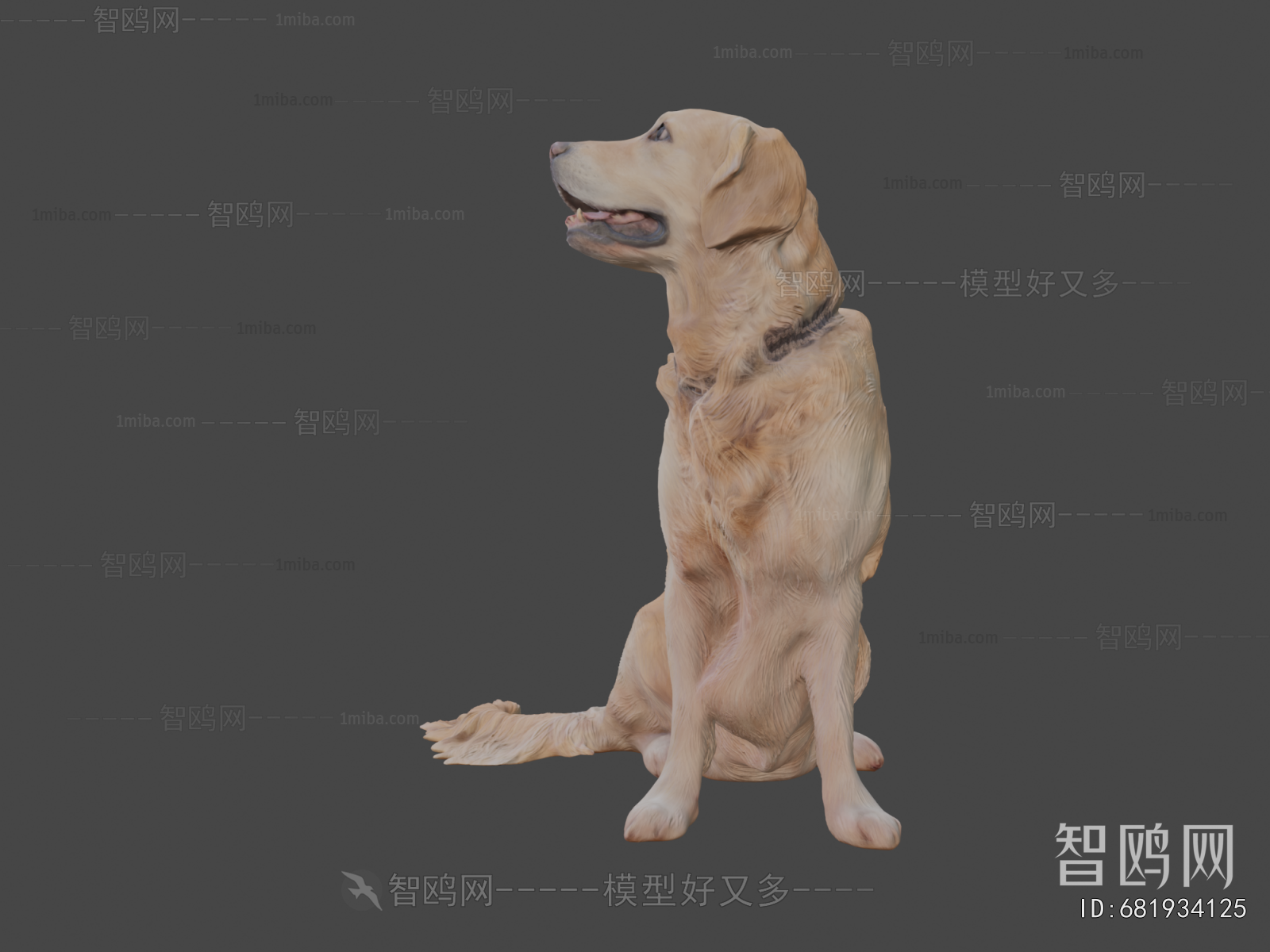 Modern Animal Dog
