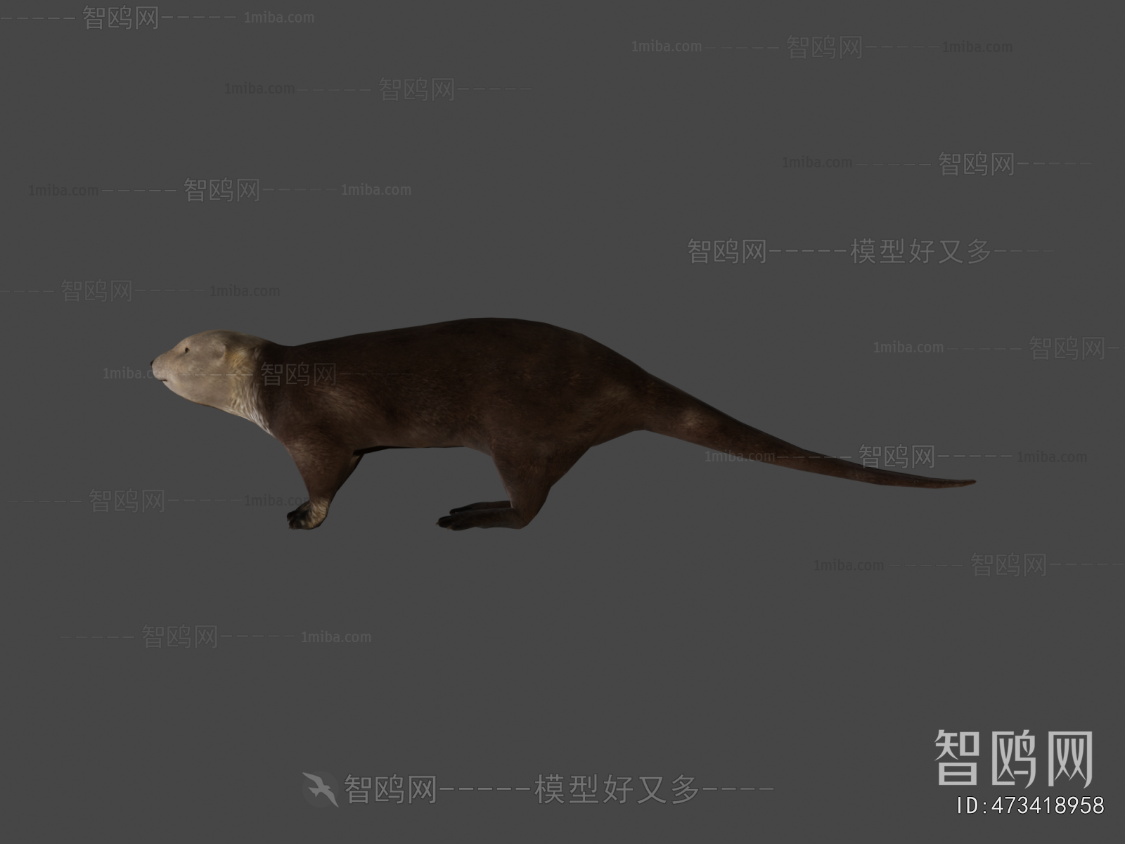 Modern Mammal
