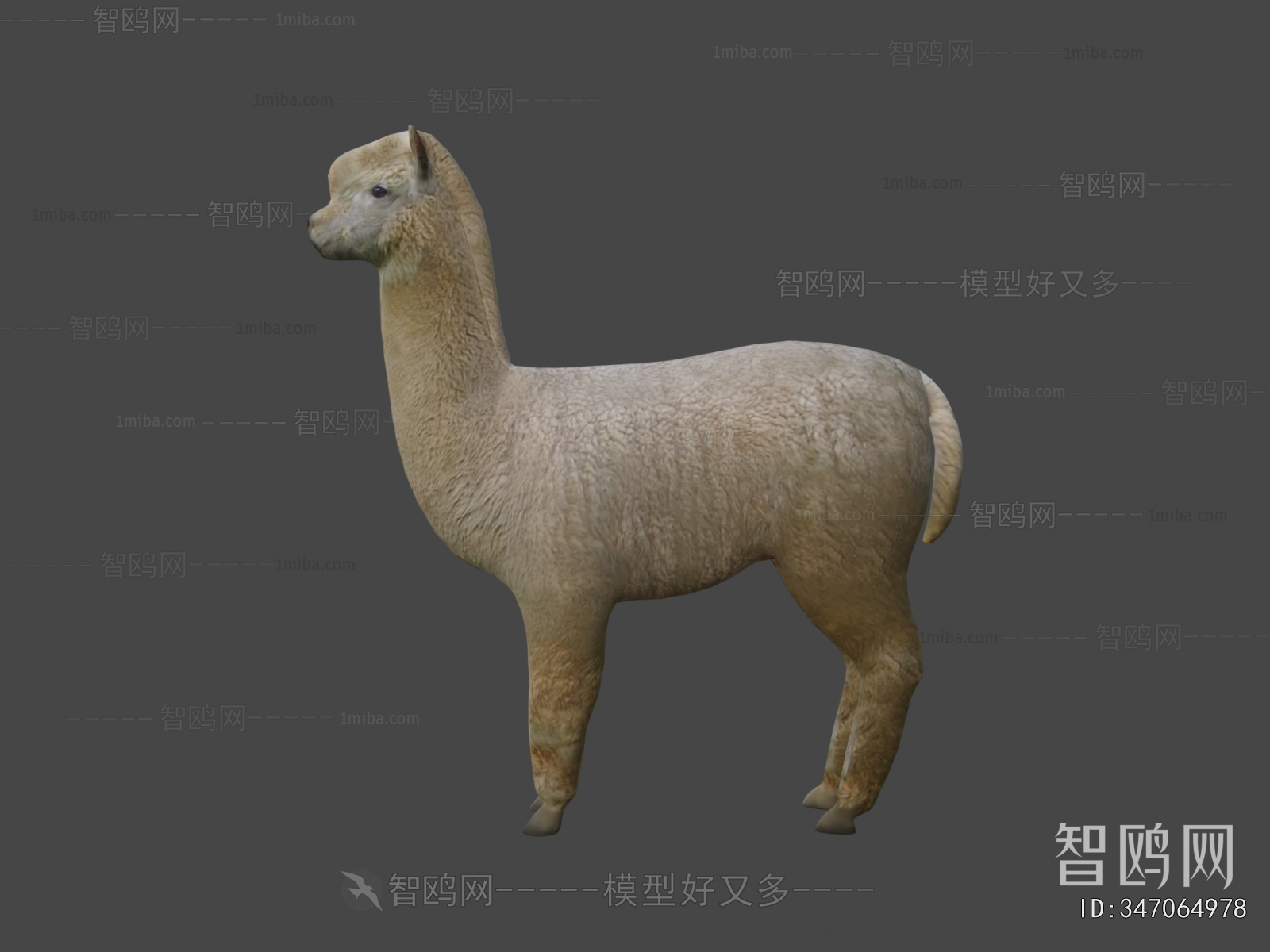 Modern Mammal