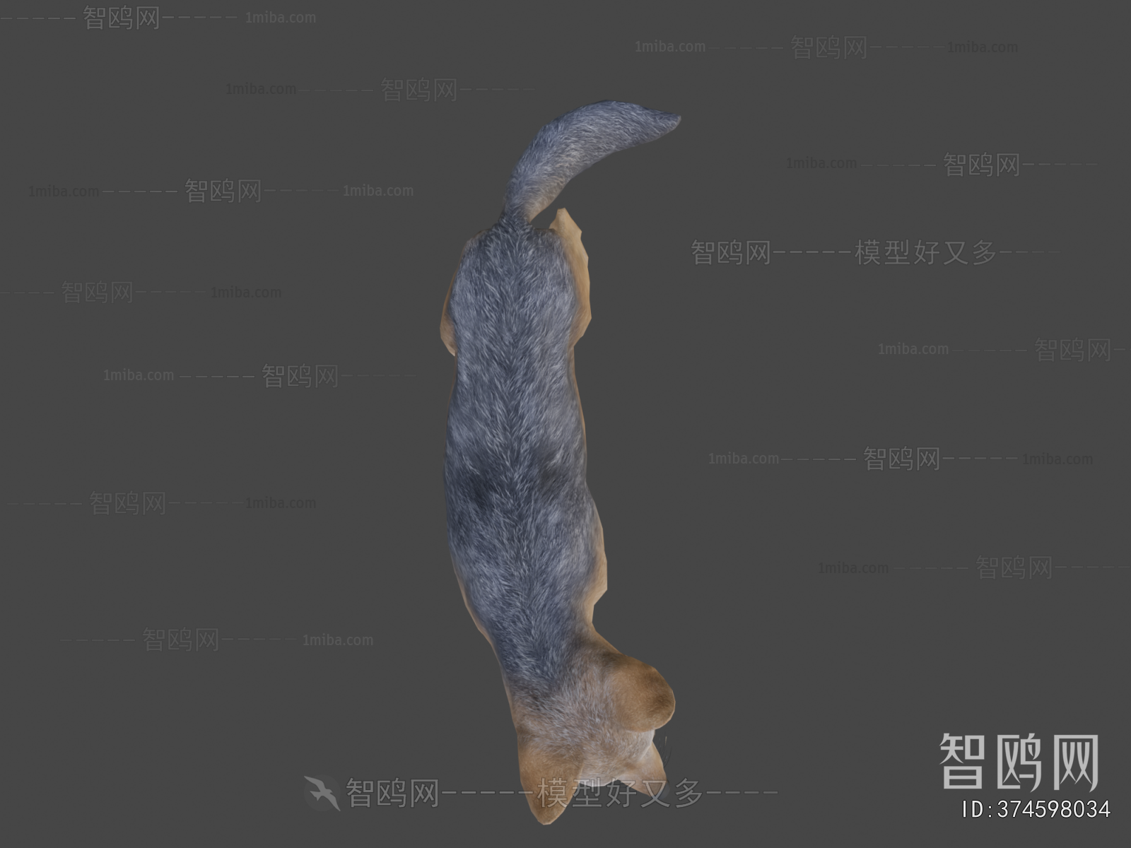 Modern Mammal