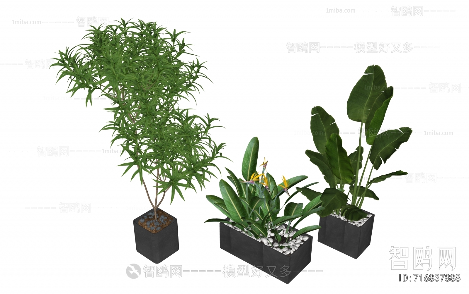 Modern Ground Green Plant Potted Plants
