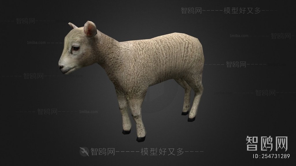 Modern Mammal