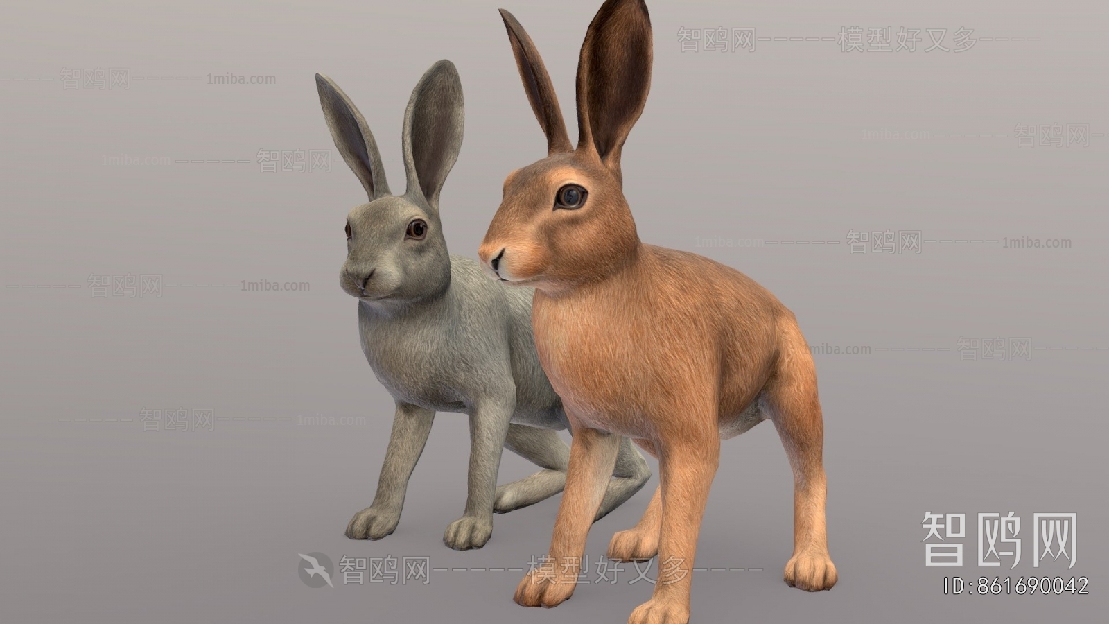 Modern Animal