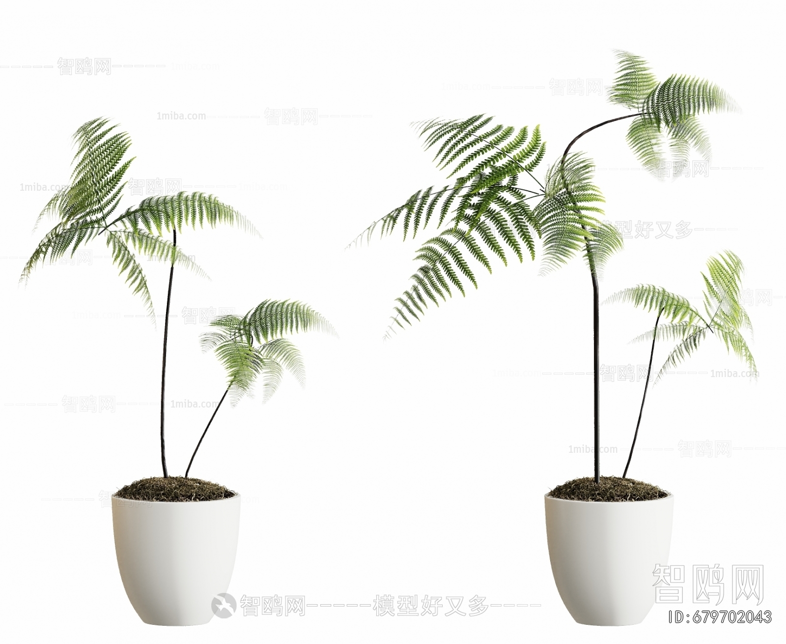 Modern Ground Green Plant Potted Plants