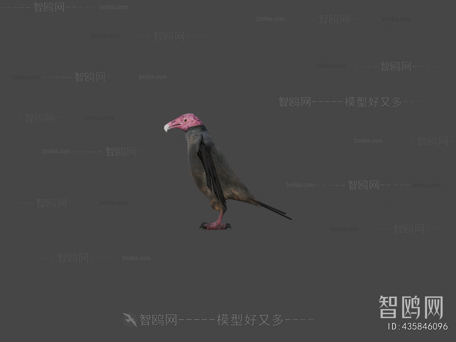 Modern Flying Animals