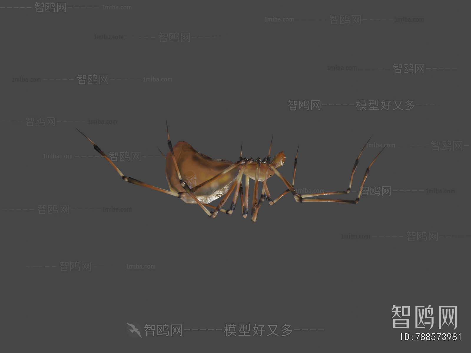 Modern Other Animals