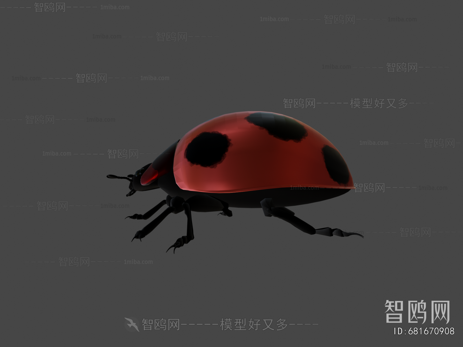 Modern Animal