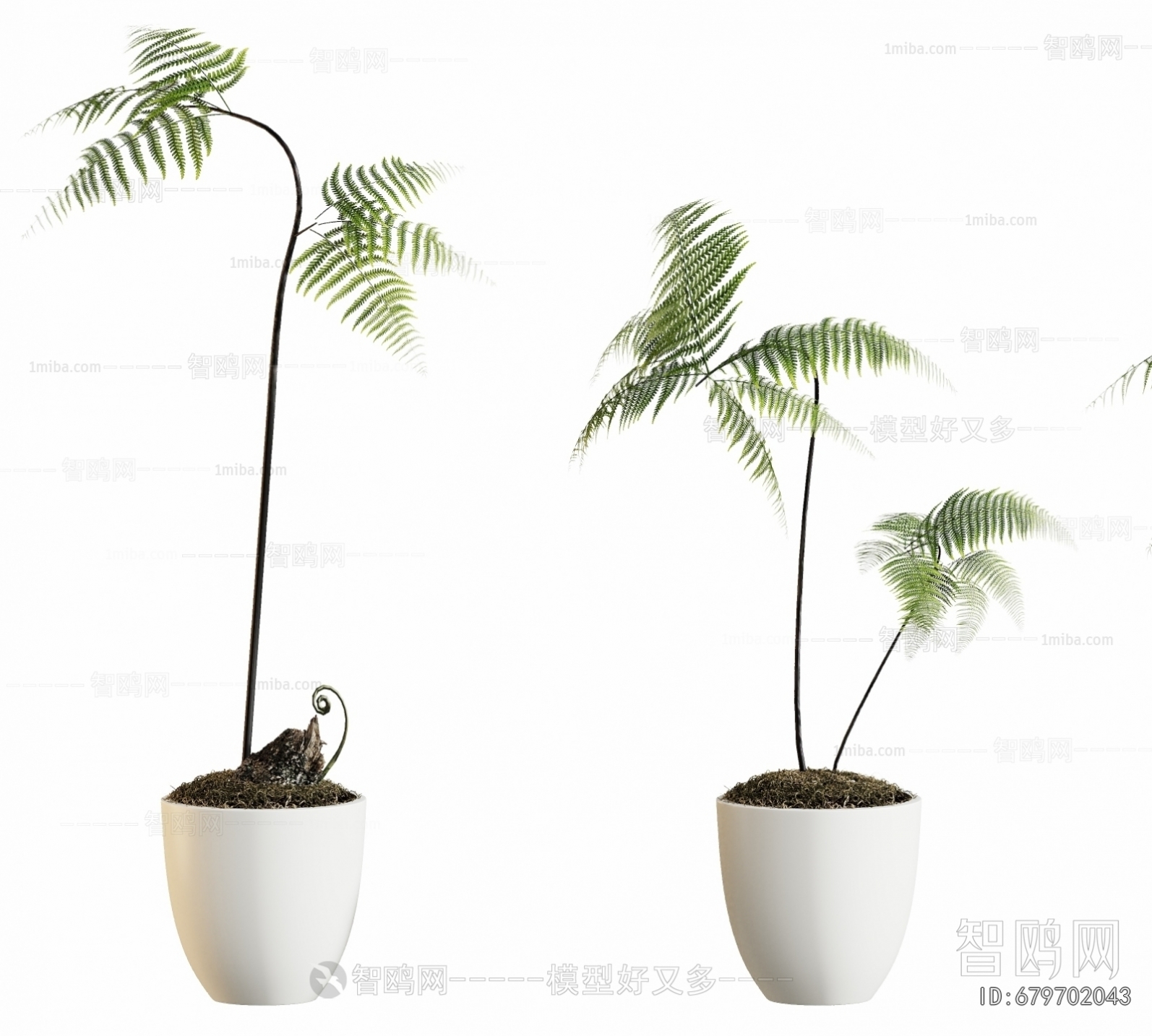 Modern Ground Green Plant Potted Plants
