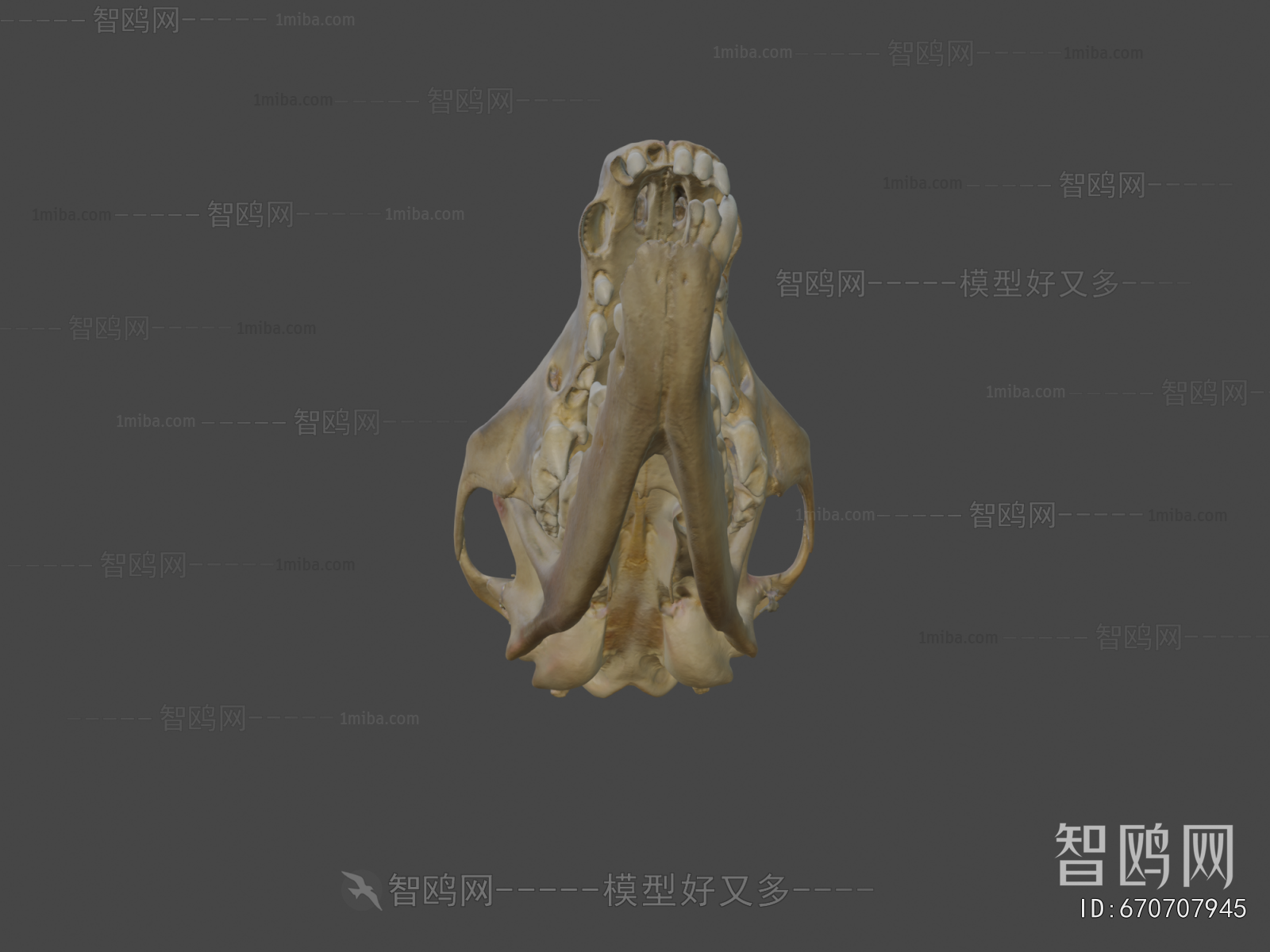 Modern Medical Equipment