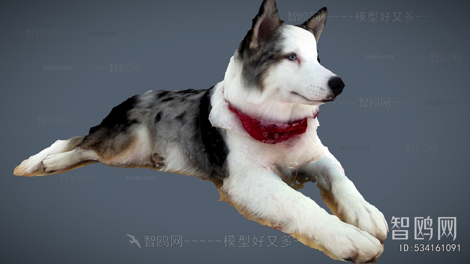 Modern Animal Dog