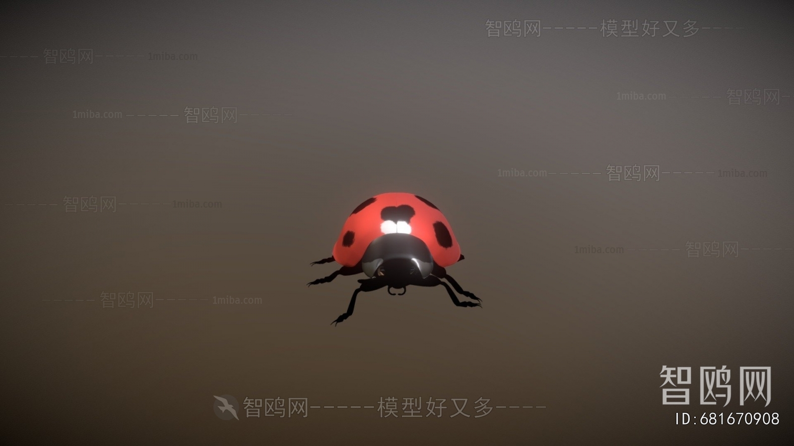 Modern Animal