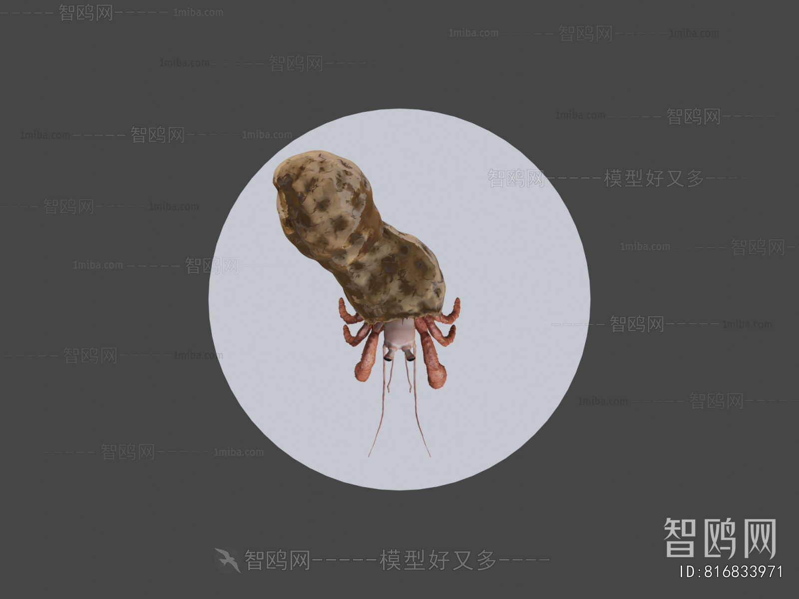 Modern Aquatic Animals