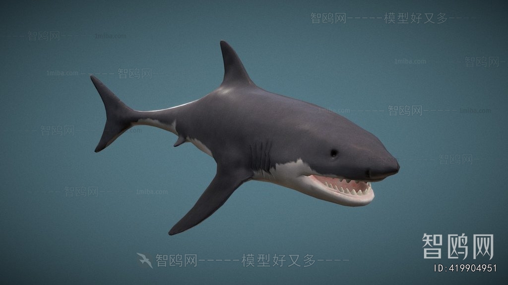 Modern Aquatic Animals