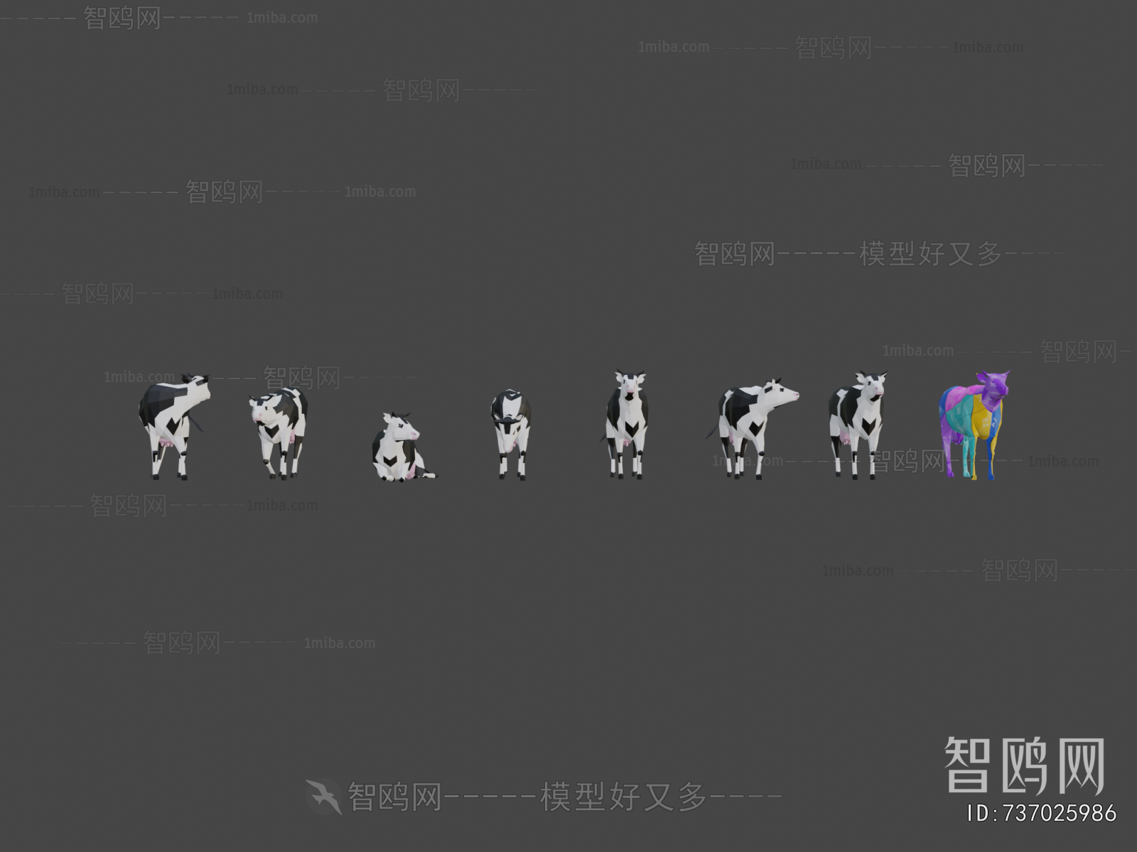 Modern Animal