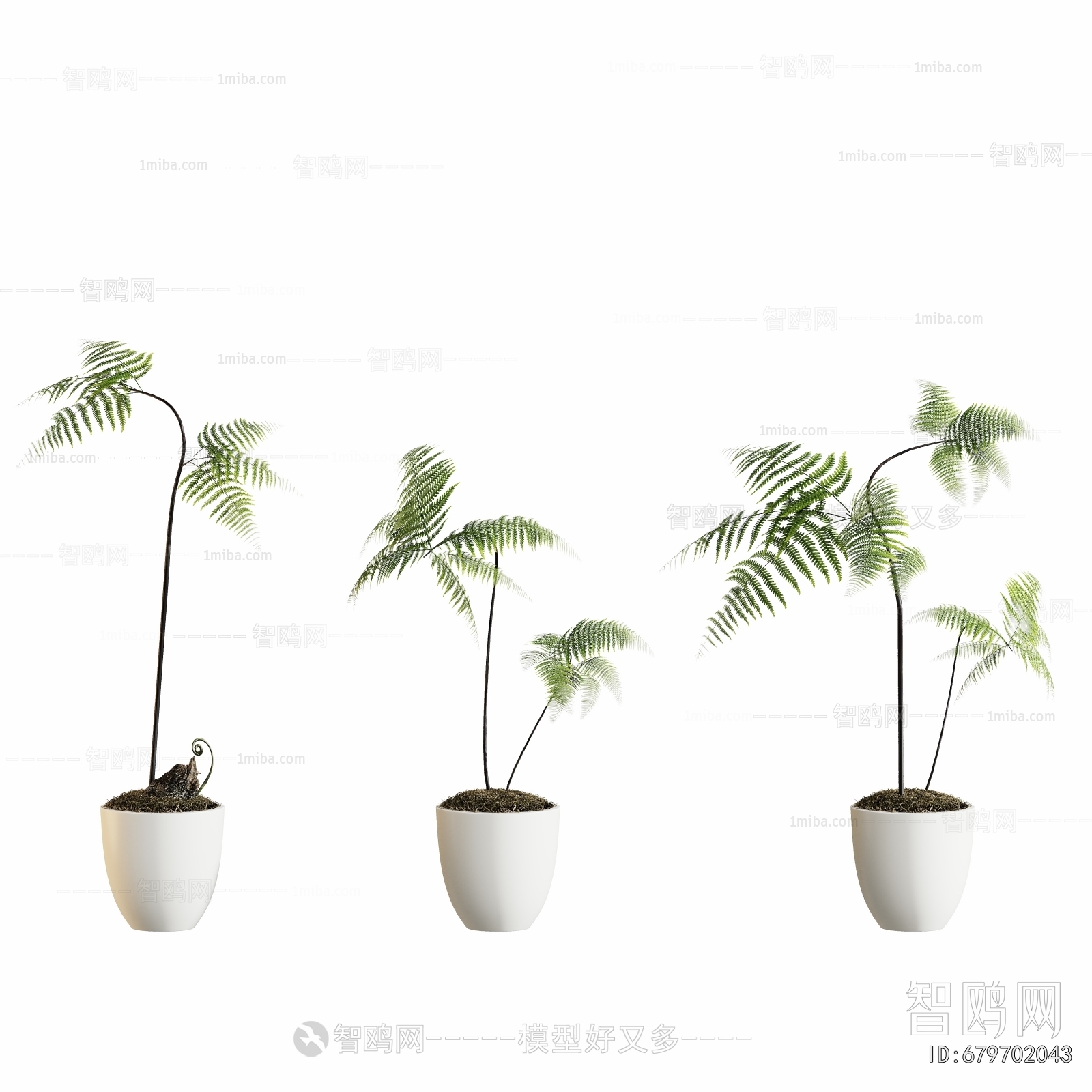 Modern Ground Green Plant Potted Plants