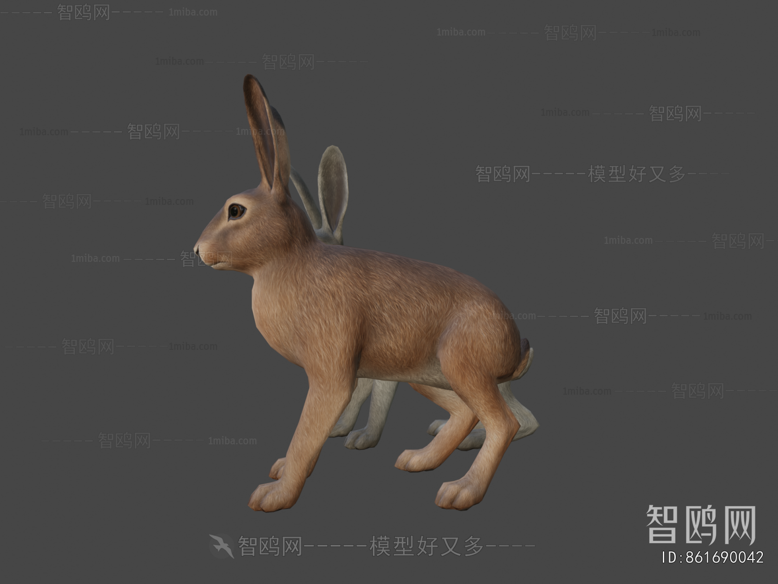 Modern Animal