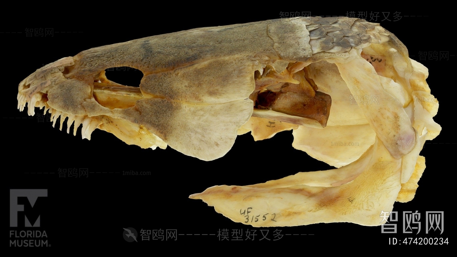 Modern Medical Equipment