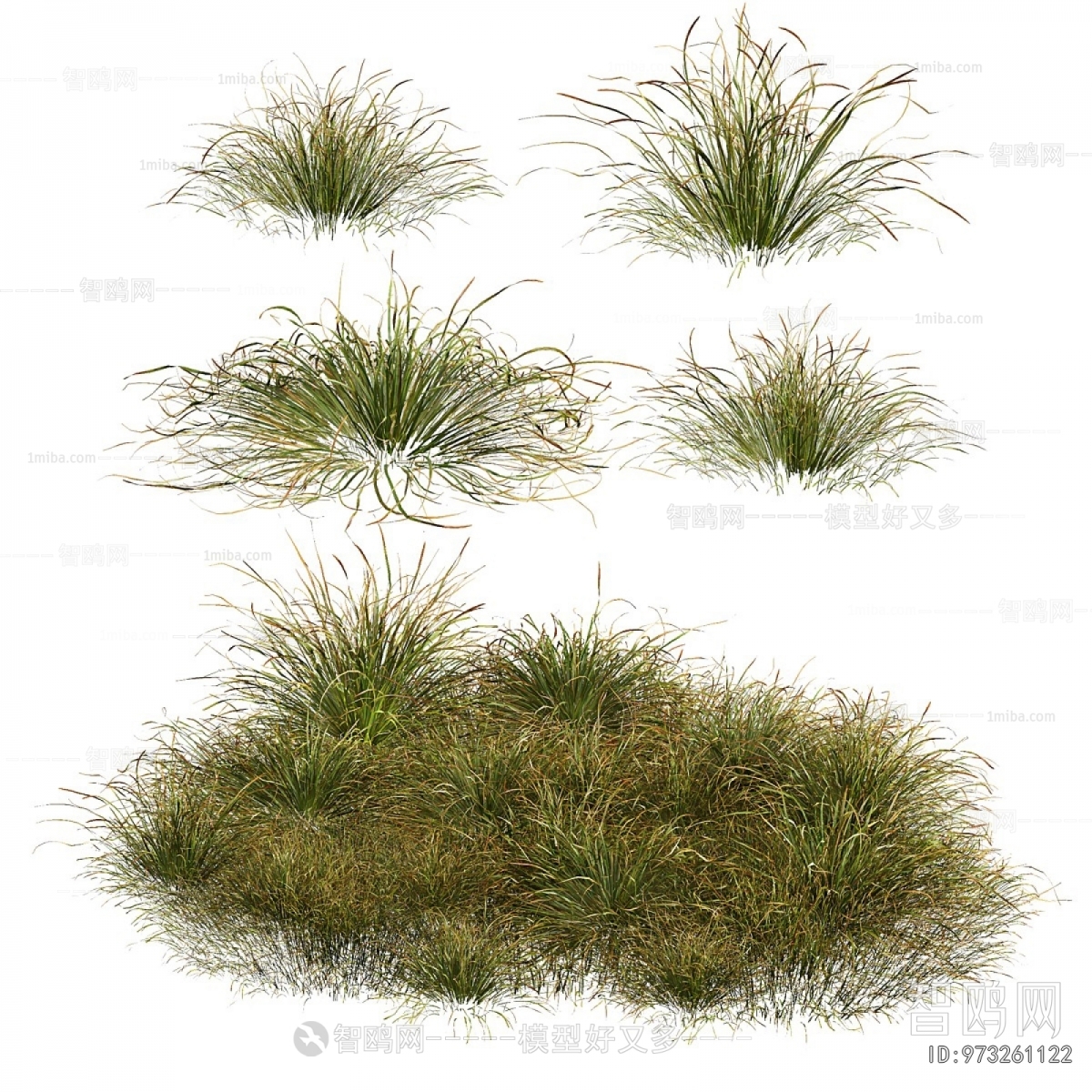 Modern The Grass