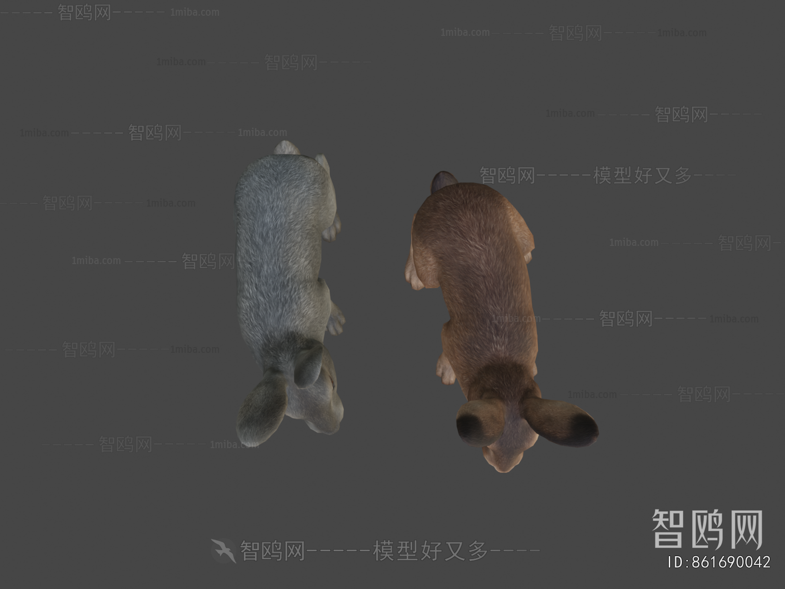 Modern Animal