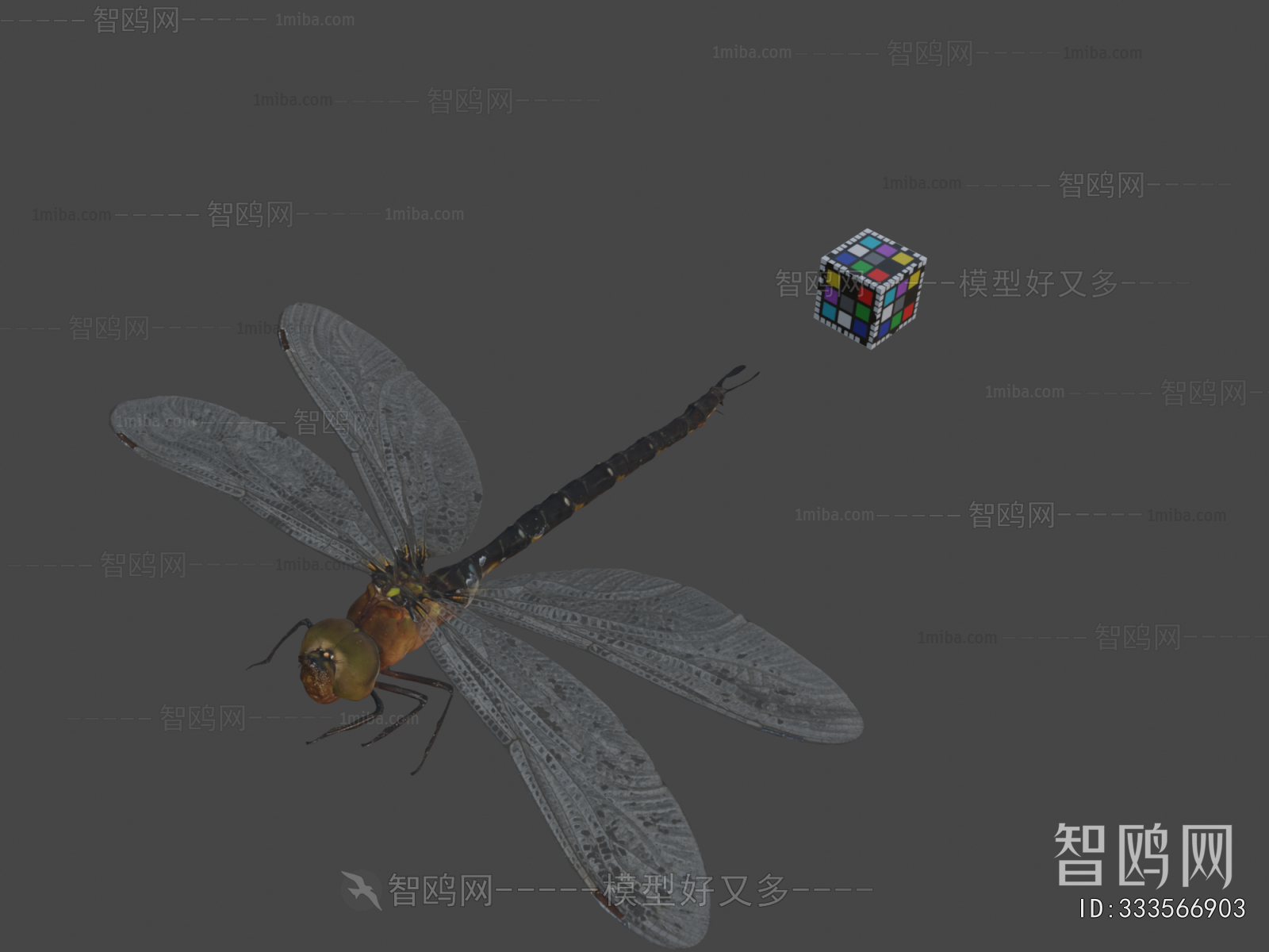 Modern Flying Animals