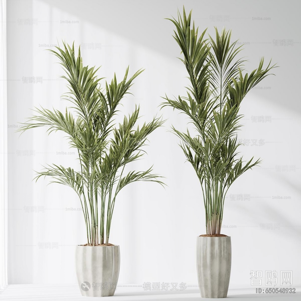 Modern Ground Green Plant Potted Plants