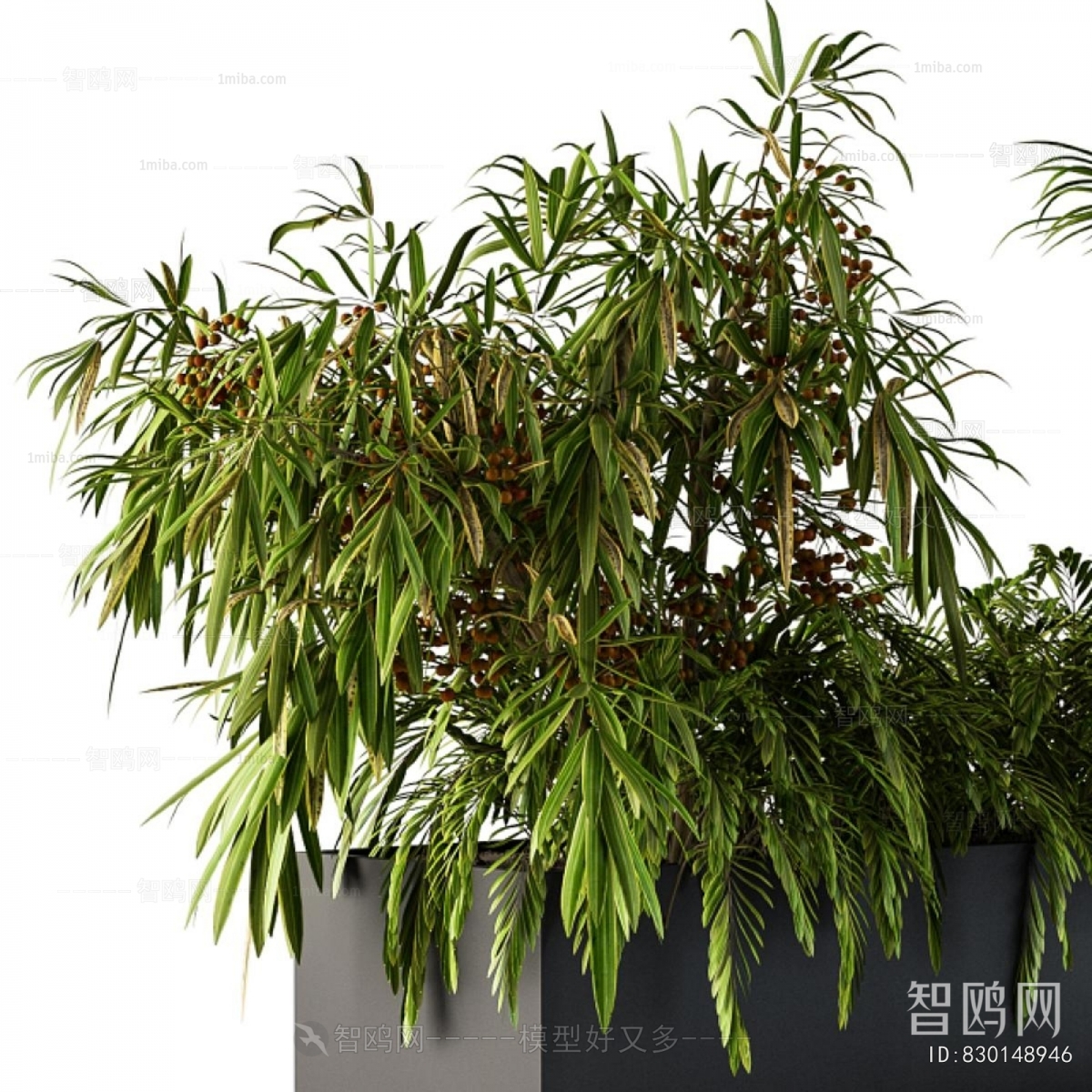Modern Shrubbery