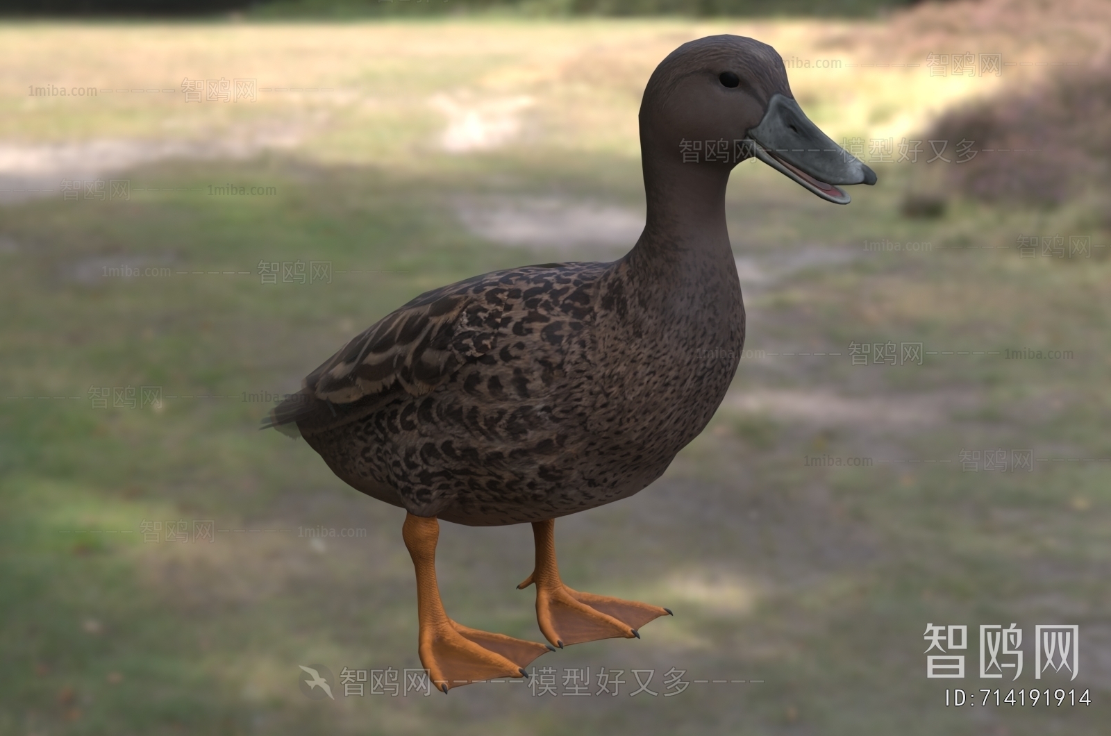 Modern Animal Duck