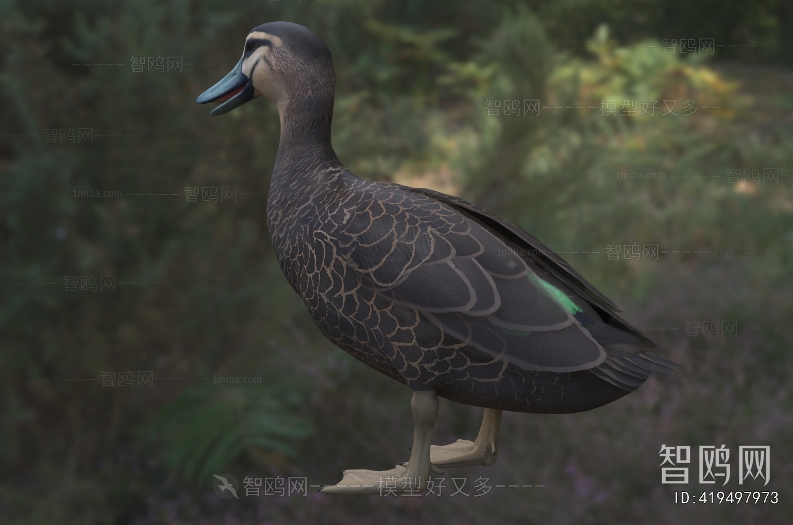 Modern Poultry Animal