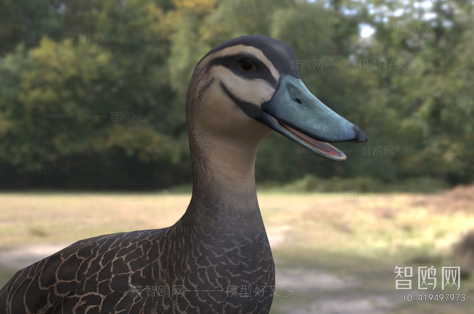 Modern Poultry Animal