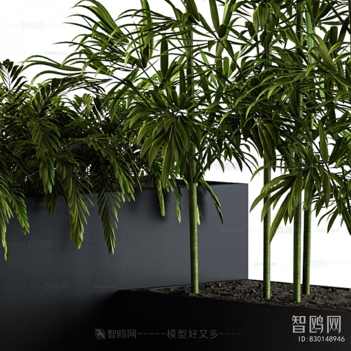 Modern Shrubbery
