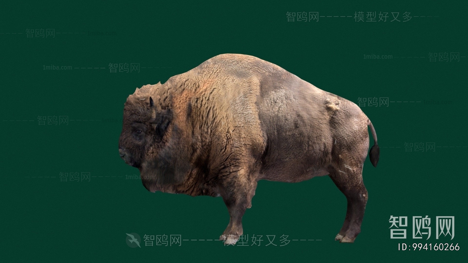 Modern Mammal