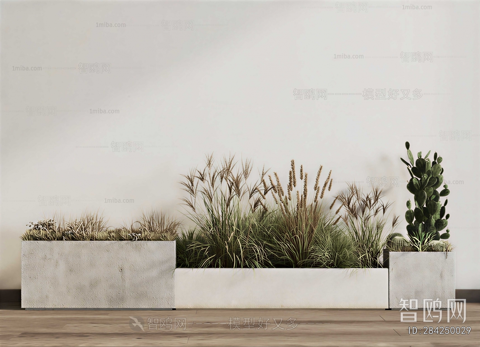 Modern Plant Landscaping